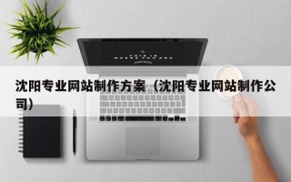 庄河沈阳专业网站制作方案（沈阳专业网站制作公司）